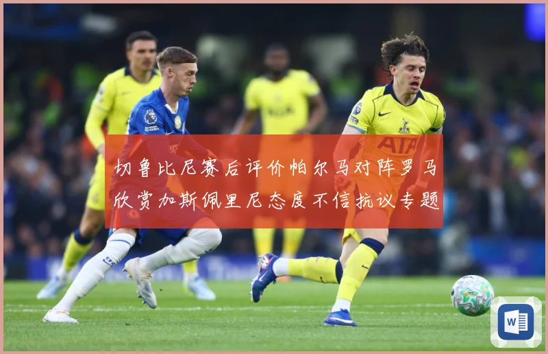 切鲁比尼赛后评价帕尔马对阵罗马欣赏加斯佩里尼态度不信抗议专题观察-深度解析