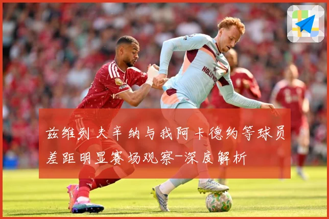兹维列夫辛纳与我阿卡德约等球员差距明显赛场观察-深度解析